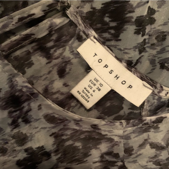 👗 TOPSHOP Organza Dress with Ruffle Sleeves - Picture 3 of 4